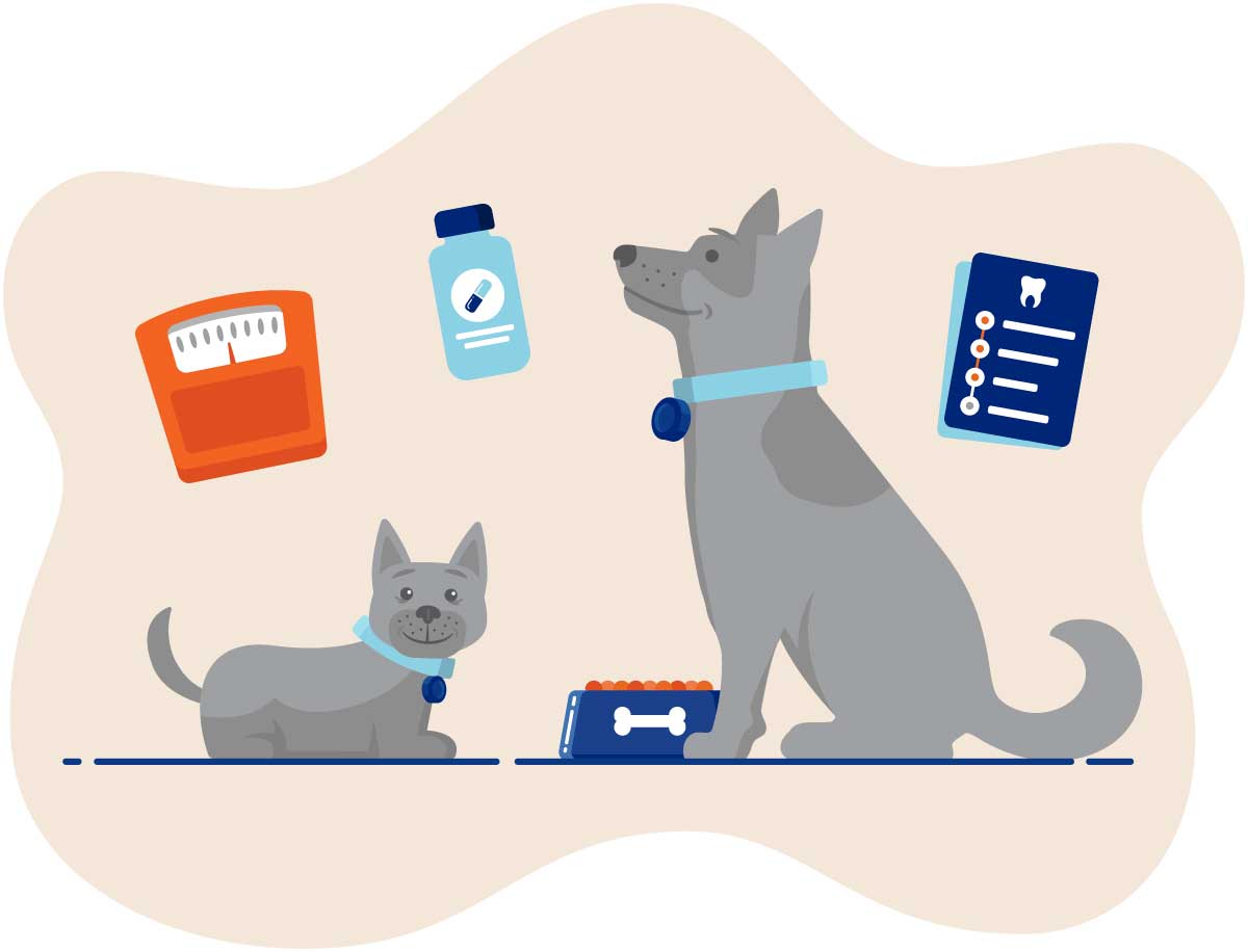 Illustration of a puppy and dog surrounded by medical supplies