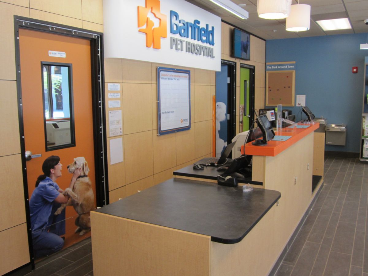 The front desk at Banfield Pet Hospital - Boca Village Square