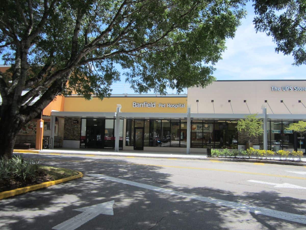 The front exterior of Banfield Pet Hospital - Boca Village Square
