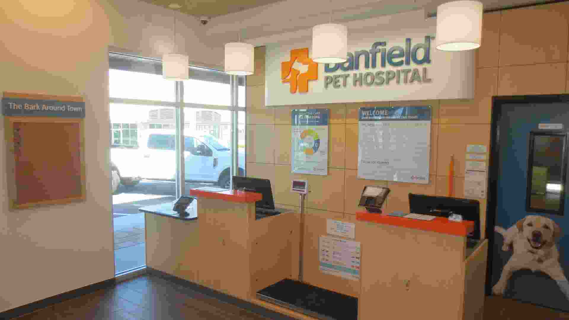 The Banfield Seminole front desk and entrance
