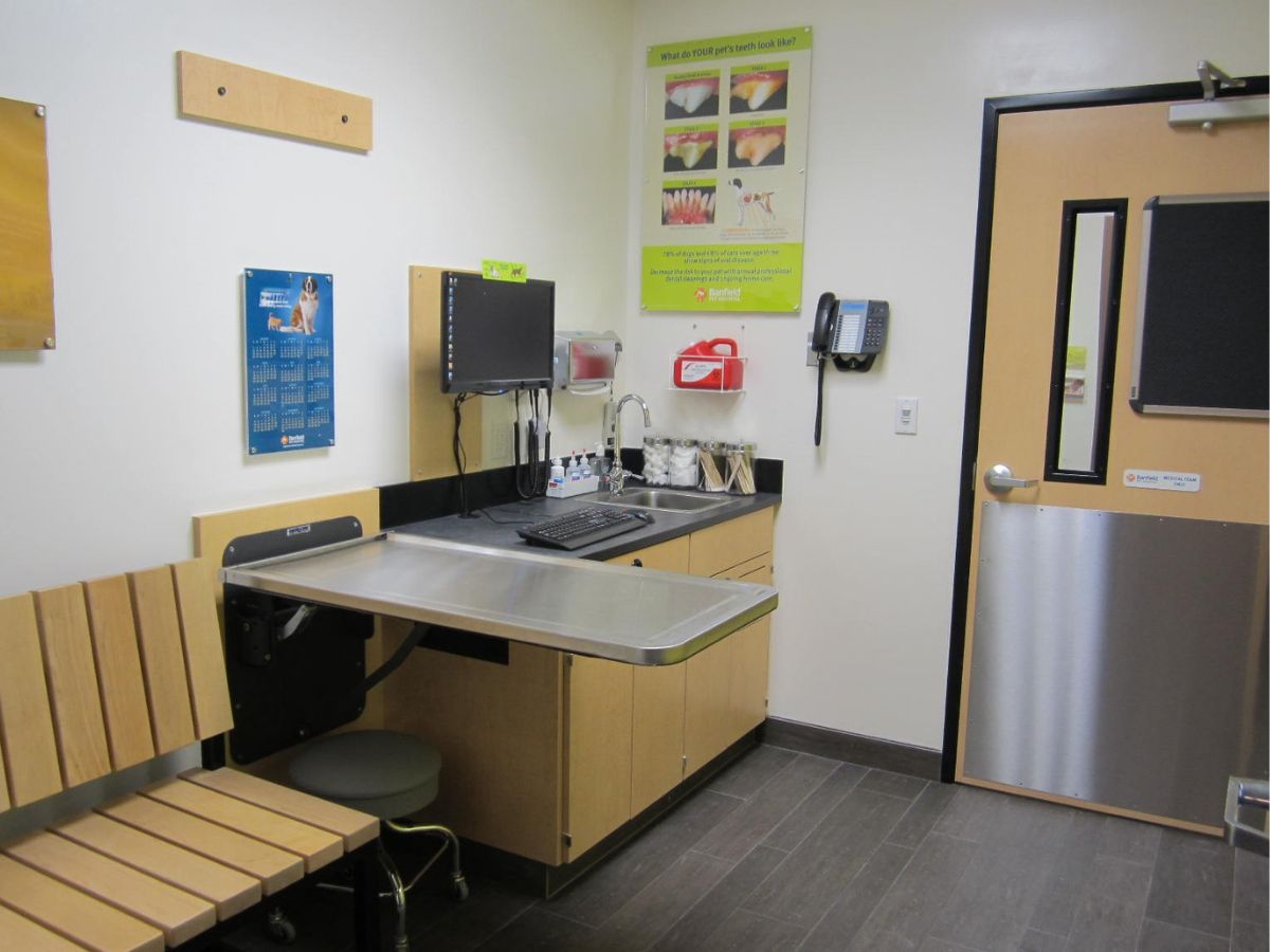 The Banfield Pet Hospital Margate exam room