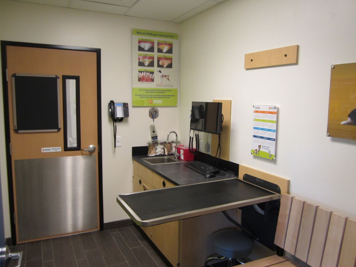 The Banfield Pet Hospital Carrollwood Village Center exam room