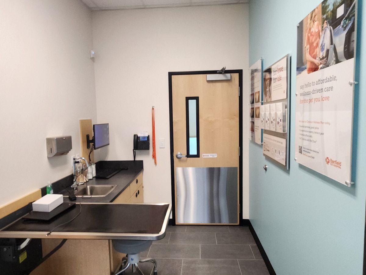 The Banfield Pet Hospital Mobile Bolton exam room