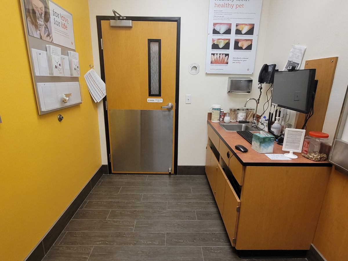 The Banfield Pet Hospital: Castlegate exam room