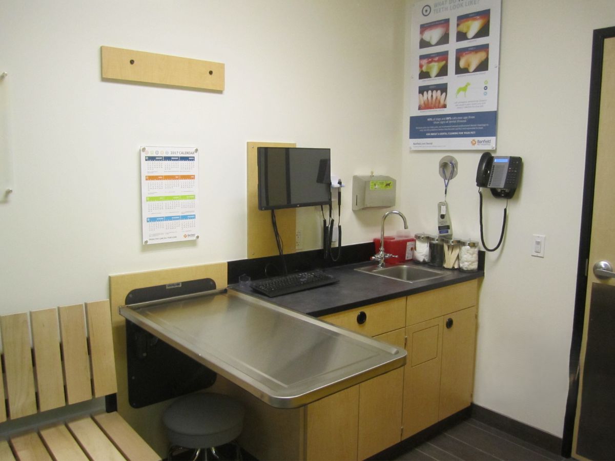 The Banfield Pet Hospital: Decatur-Blackmon exam room with table