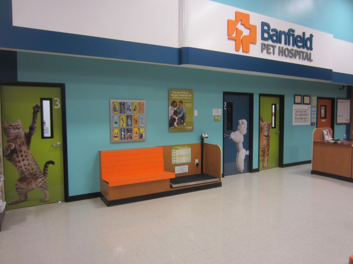 The Banfield Pet Hospital: Huntsville-Jones Valley waiting area