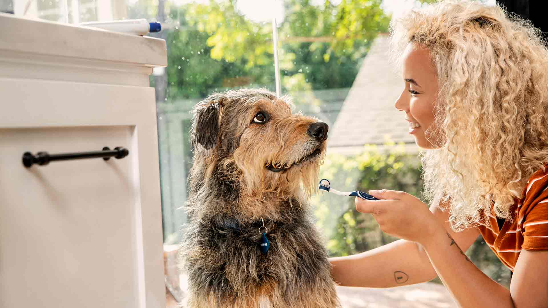 A dog owner prepares to brush her dog's teeth