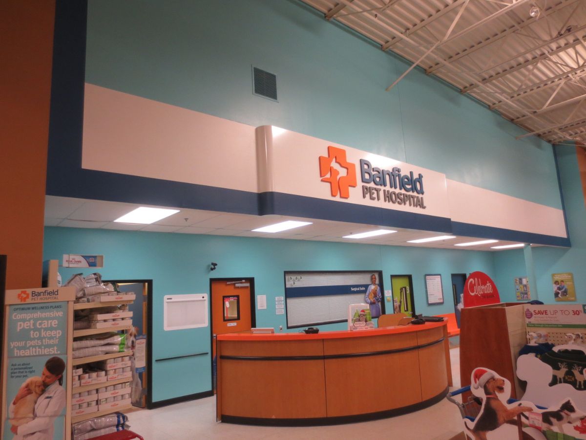 The Banfield Springhurst front desk and lobby