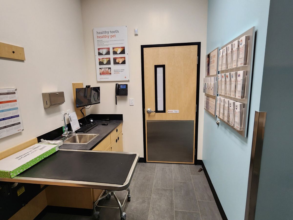 Inside of a Banfield Louisville Stony Brook exam room with table