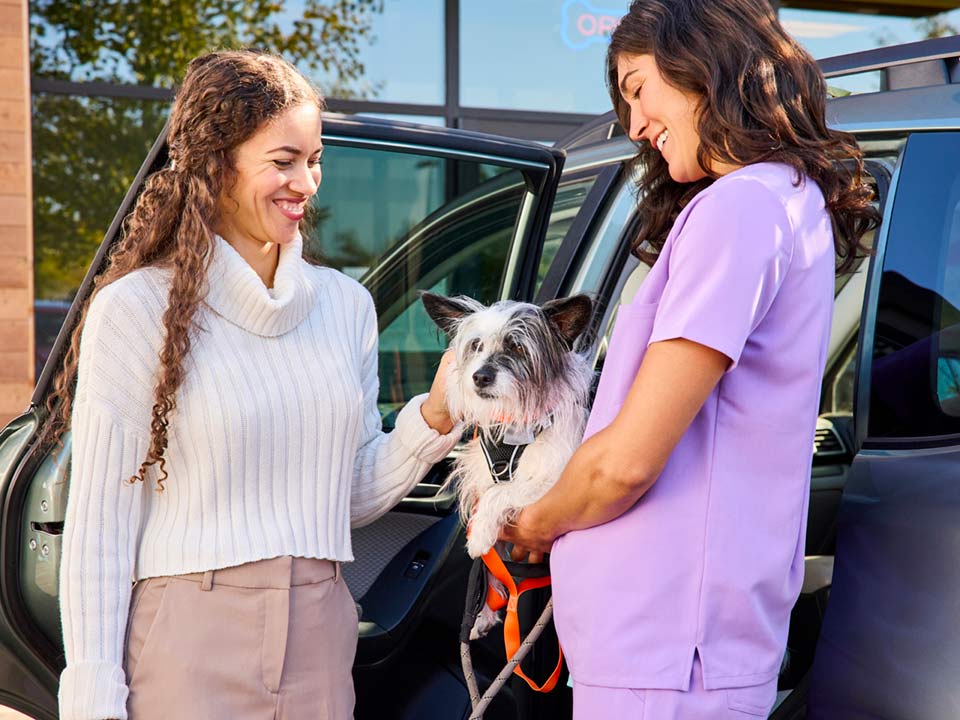 A CVT greets a woman with her pet dog outside her car