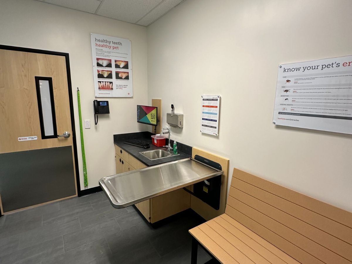 The Banfield Pet Hospital: Palm Desert Desert Springs room with table