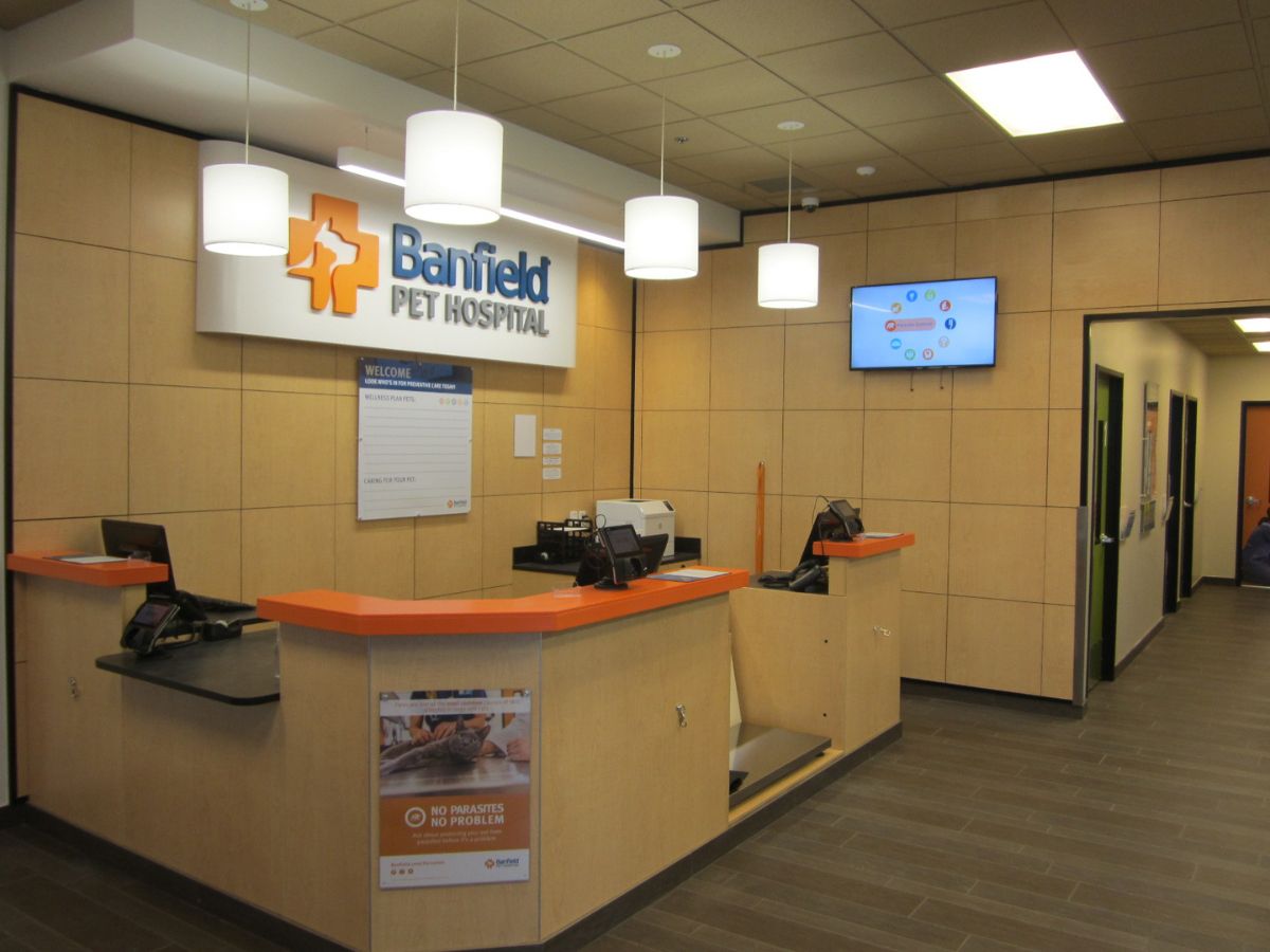 The Banfield Huntington Marina hospital front desk and check-in