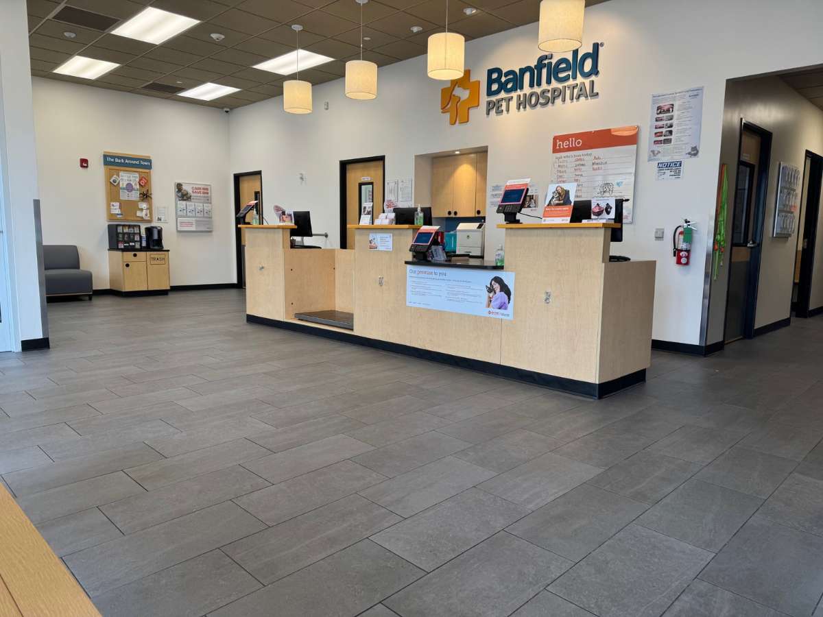 Banfield Pet Hospital - Miami Carter Square reception desk