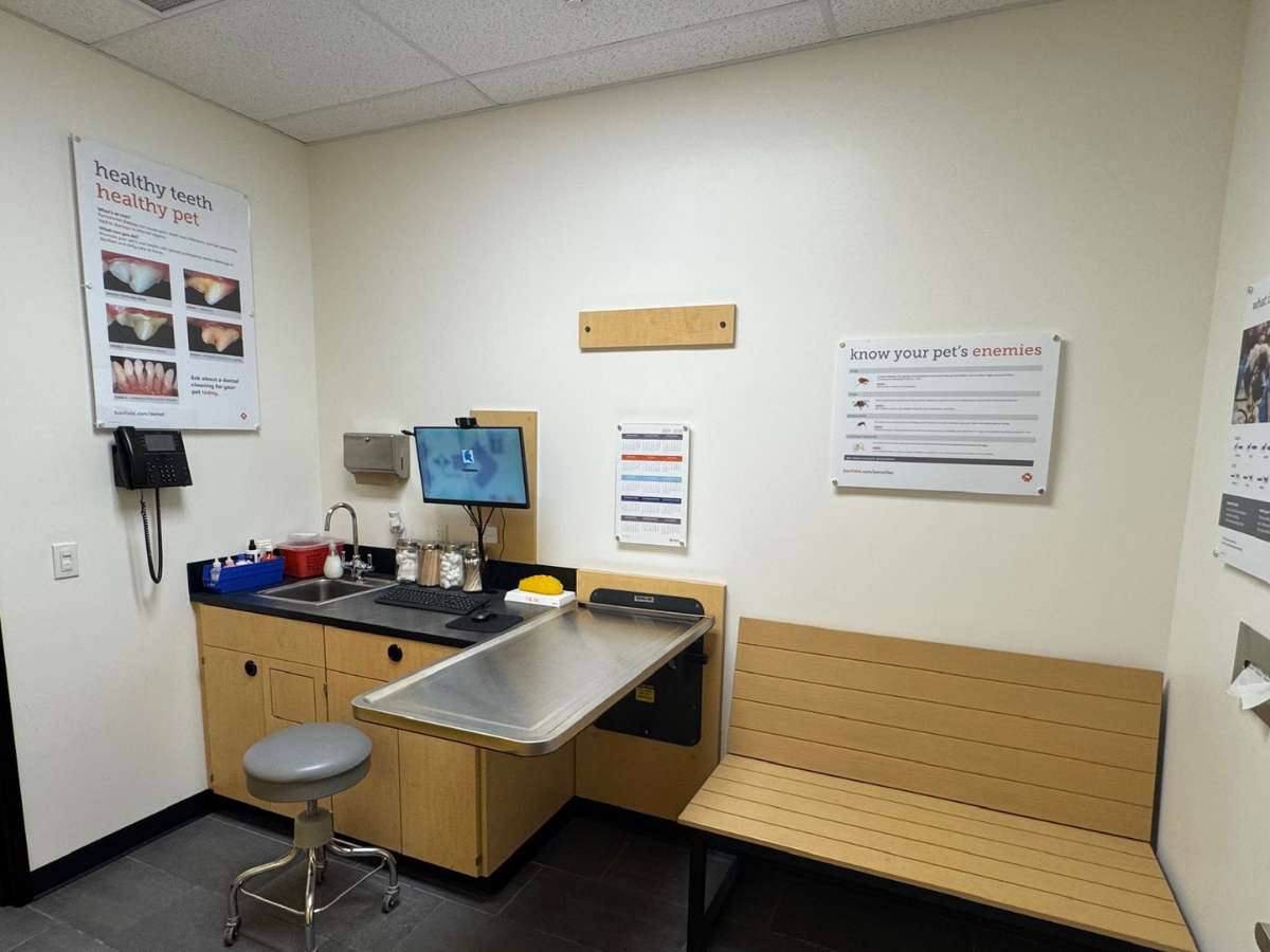 Banfield Pet Hospital - Miami Carter Square exam room