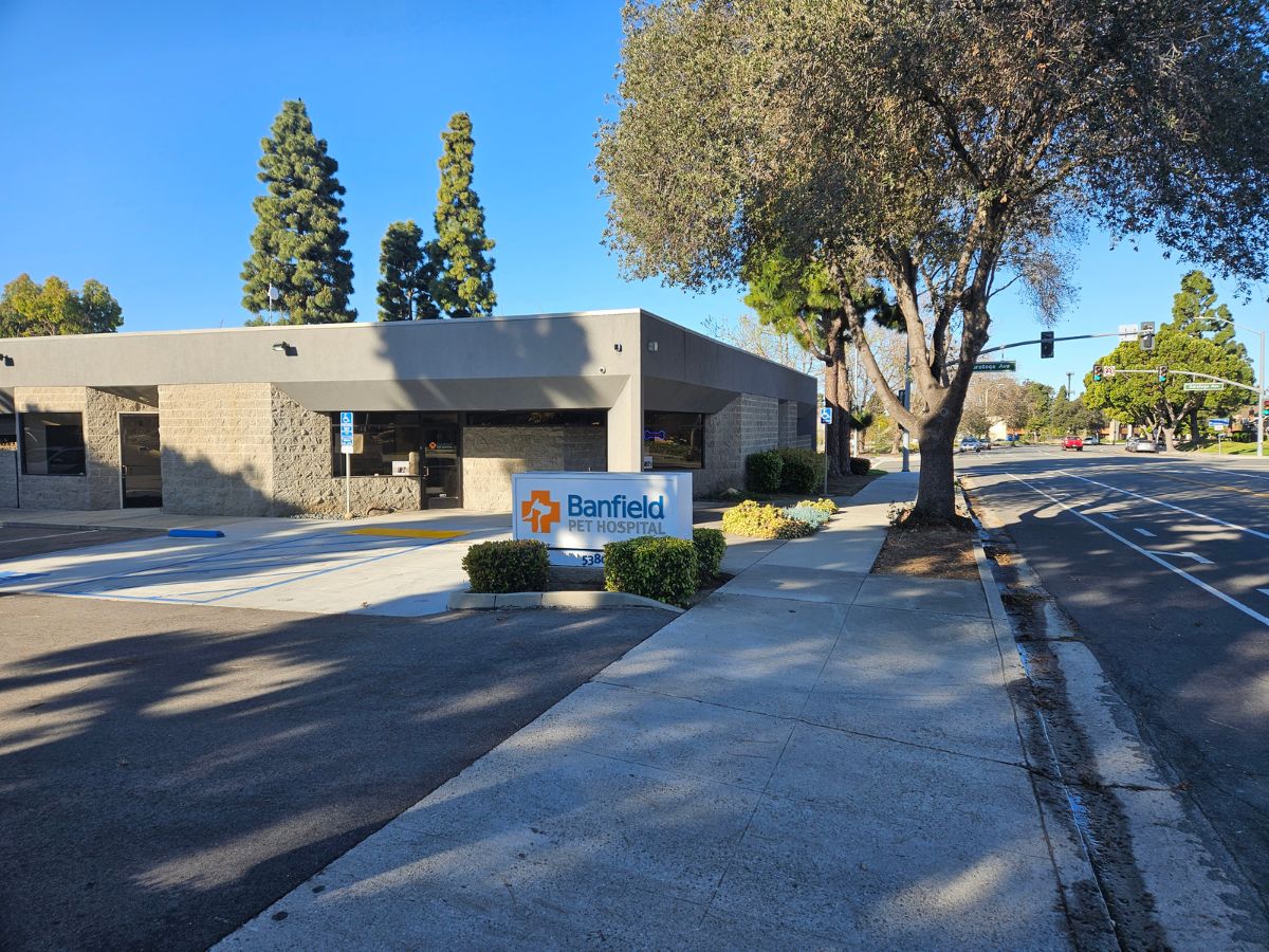 The Banfield Anacapa hospital front entrance