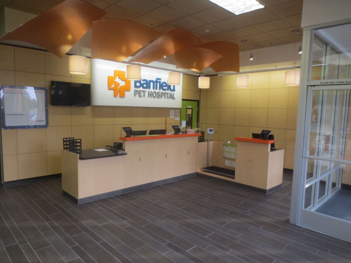 The Banfield Glendale hospital front desk and waiting area