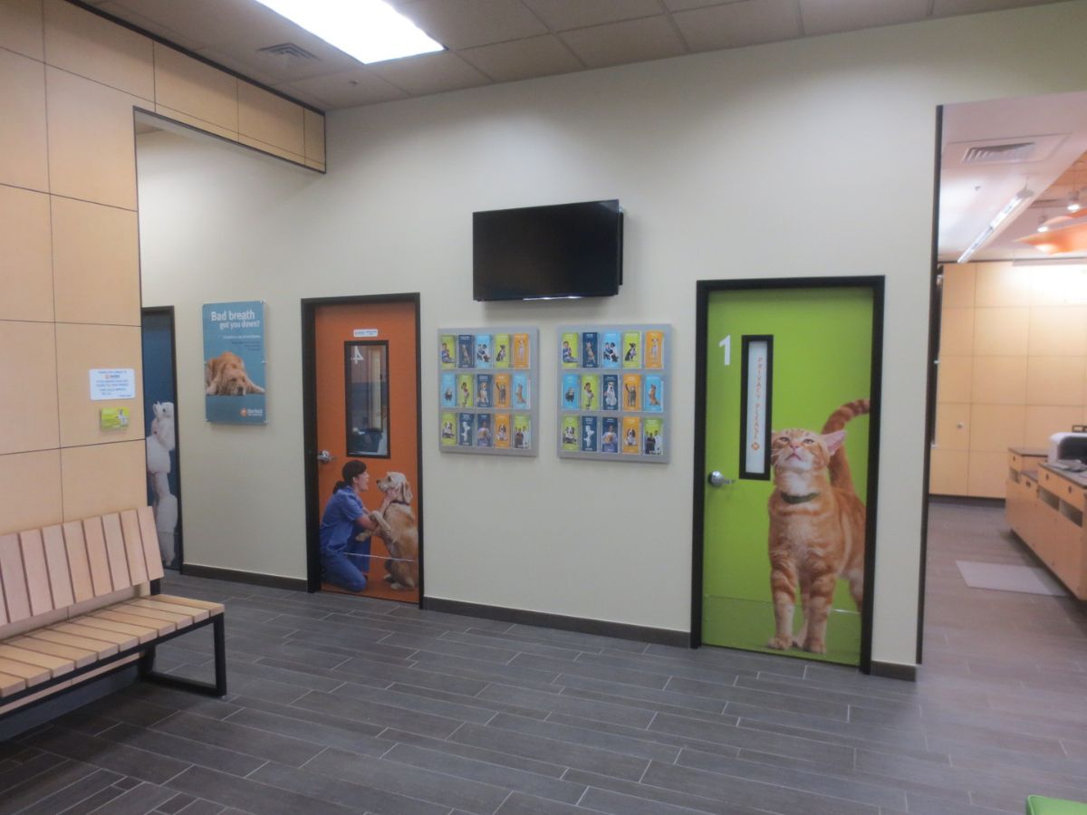 The Banfield Glendale exam room doors
