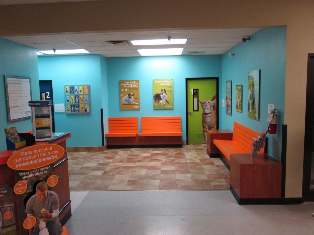 The Glen Burnie Banfield hospital lobby and waiting area