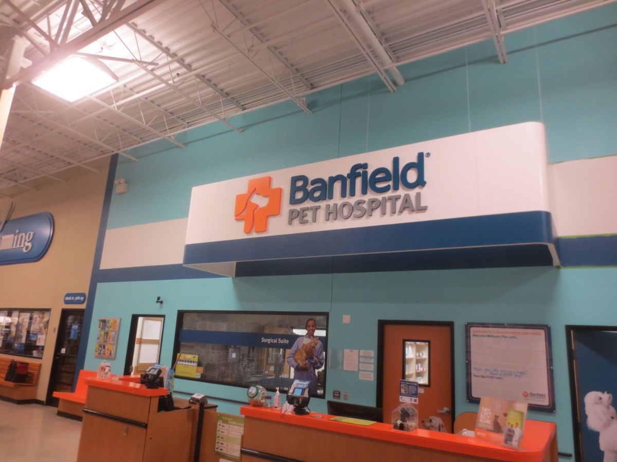 The Okemos Banfield front desk and check-in area