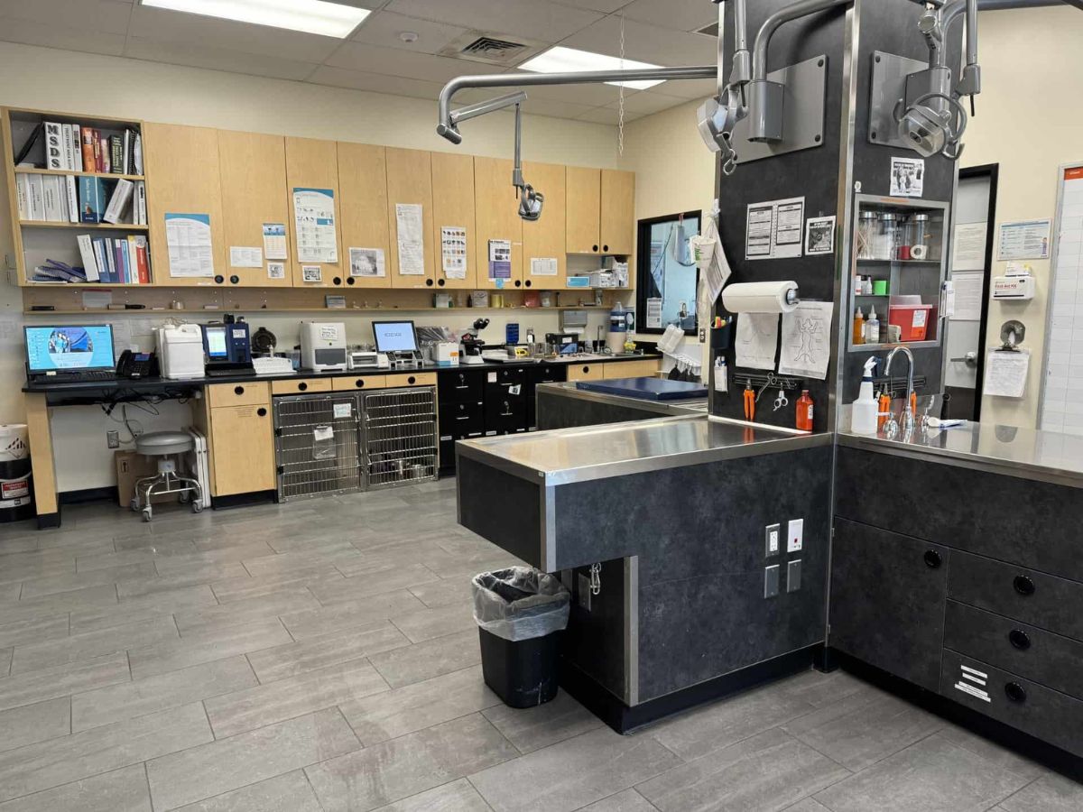Inside an exam room at the Troy Banfield hospital