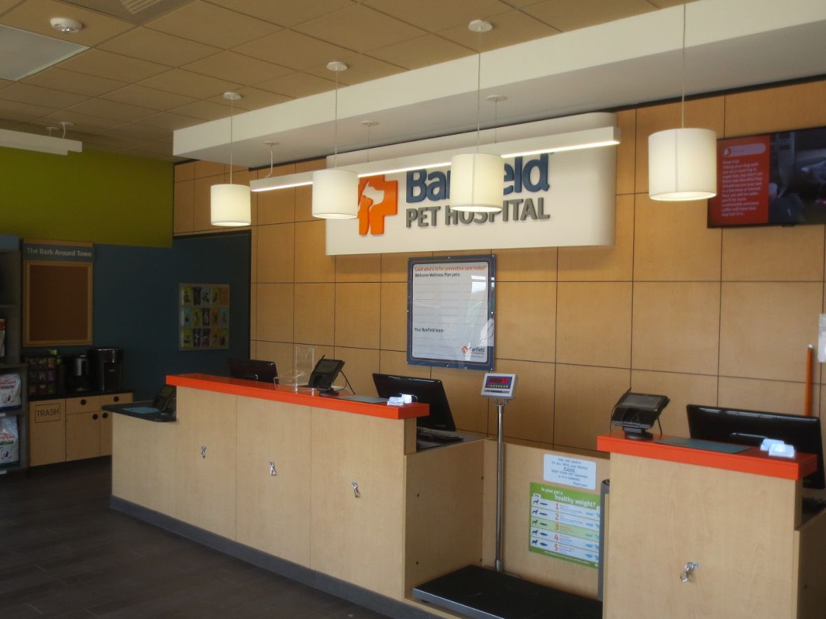 The front desk at the Savage Banfield hospital