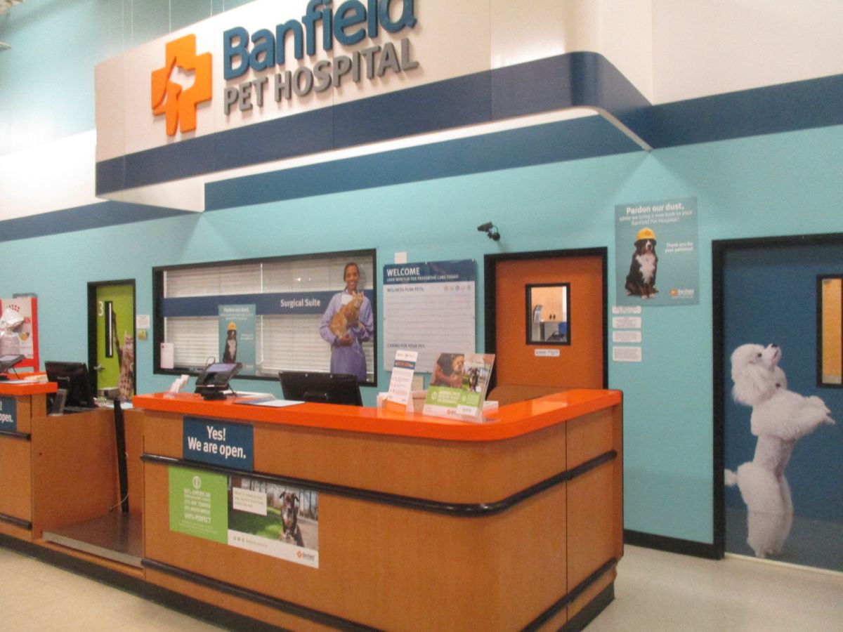 The front desk at the Arden Banfield hospital