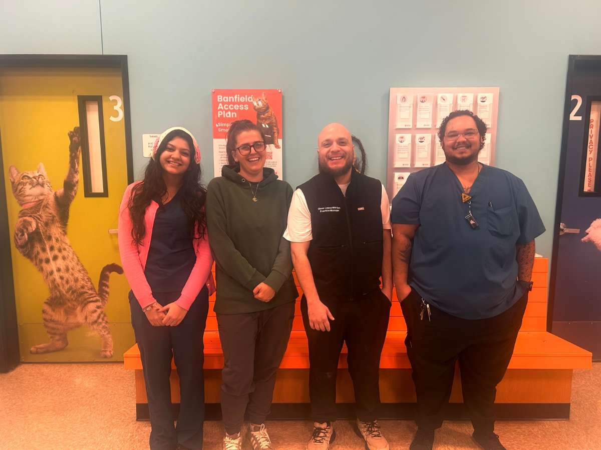 A group of smiling associates at Banfield Pet Hospital - Reston