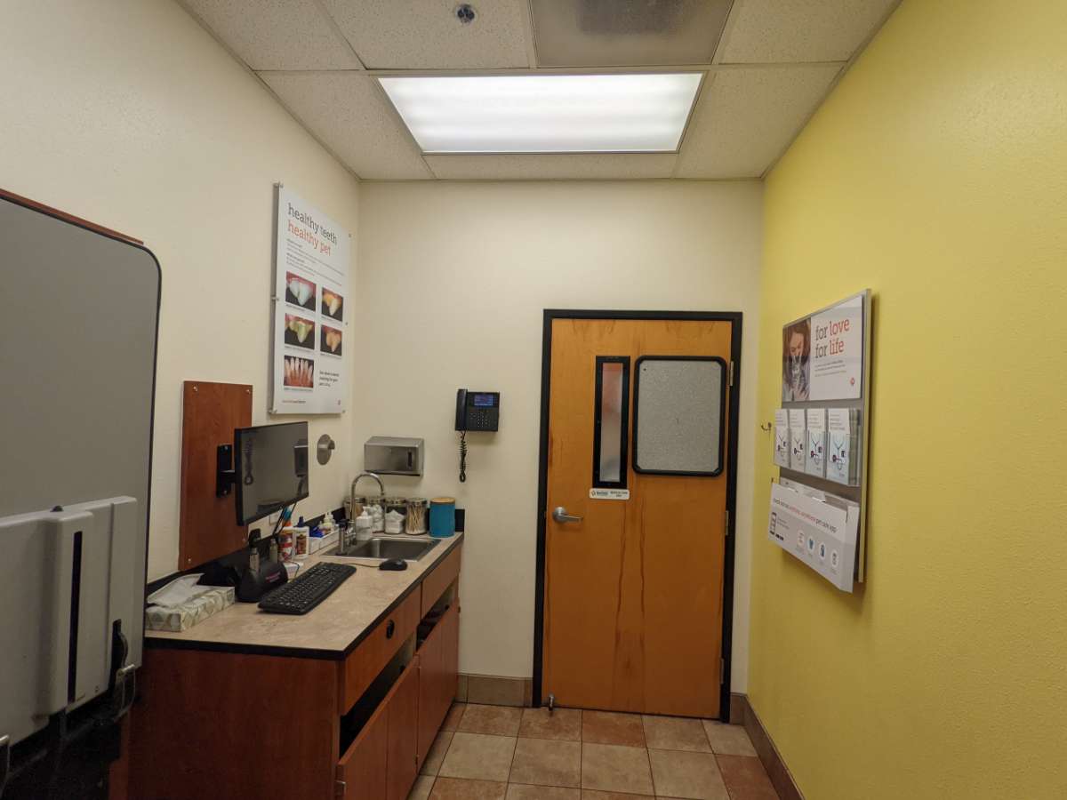 The exam room at the Wilmington Banfield hospital