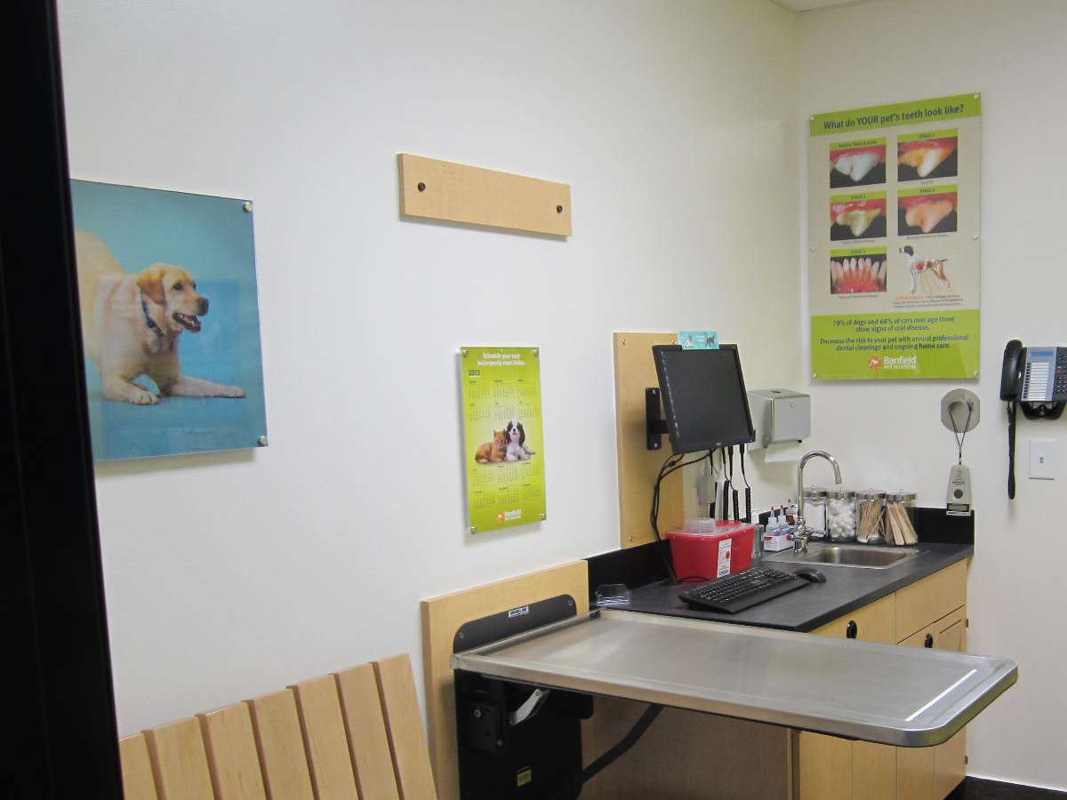 An alternate view of the Stonebridge Banfield exam room