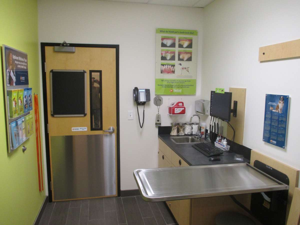 A view of the Raleigh Leesville Banfield hospital