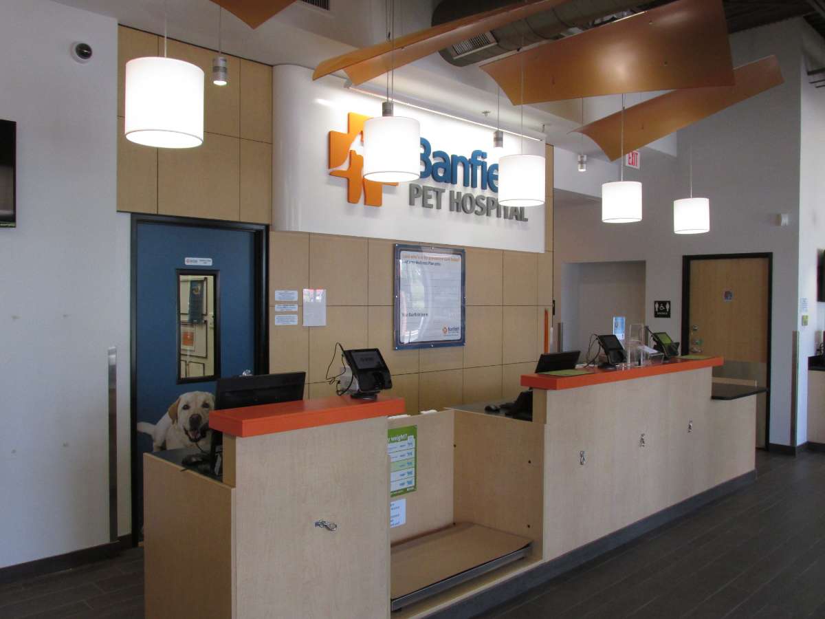 The front desk and check-in at the Raleigh Creedmoor Banfield hospital