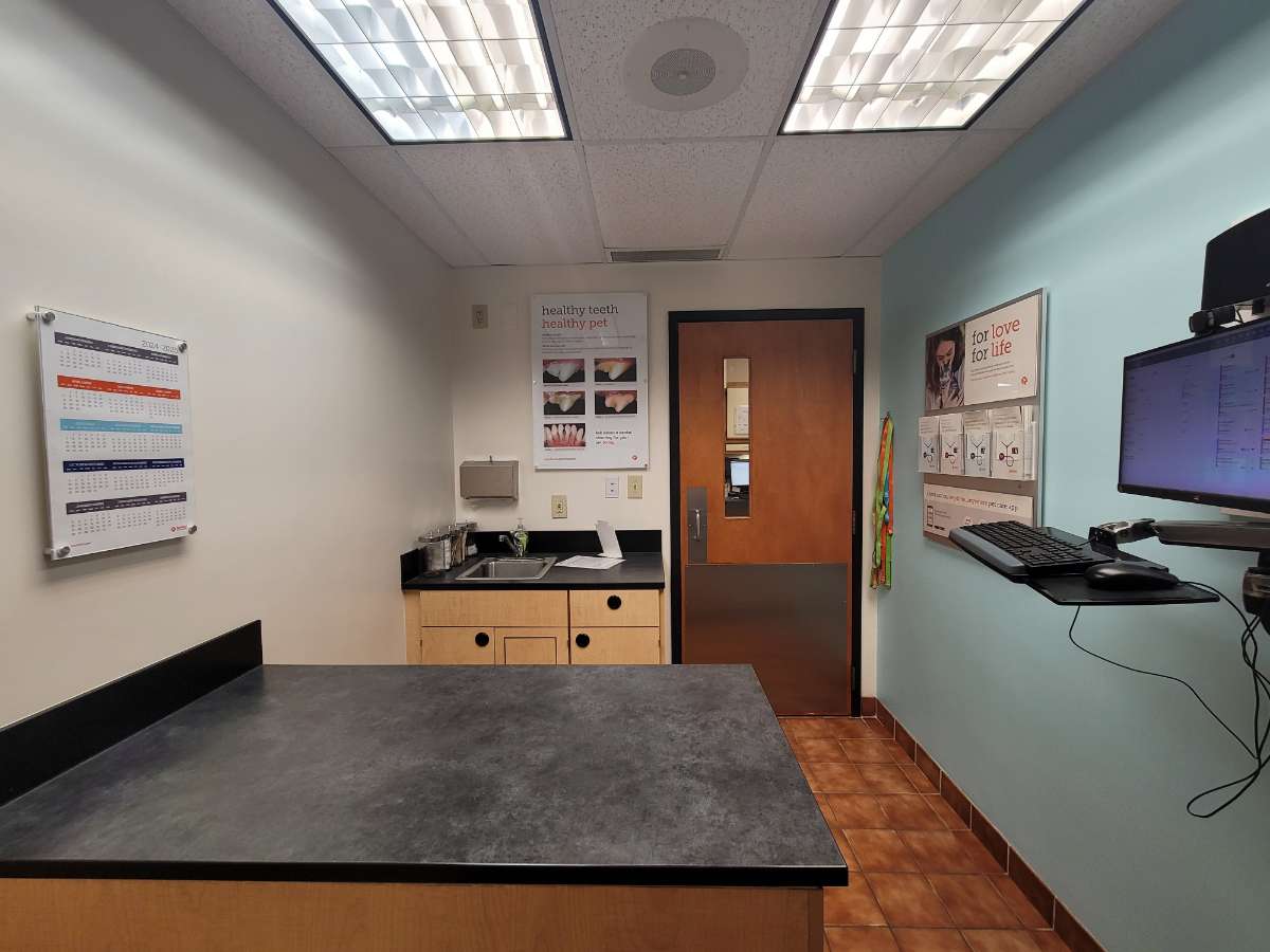 The exam room at the South Ridge Banfield hospital