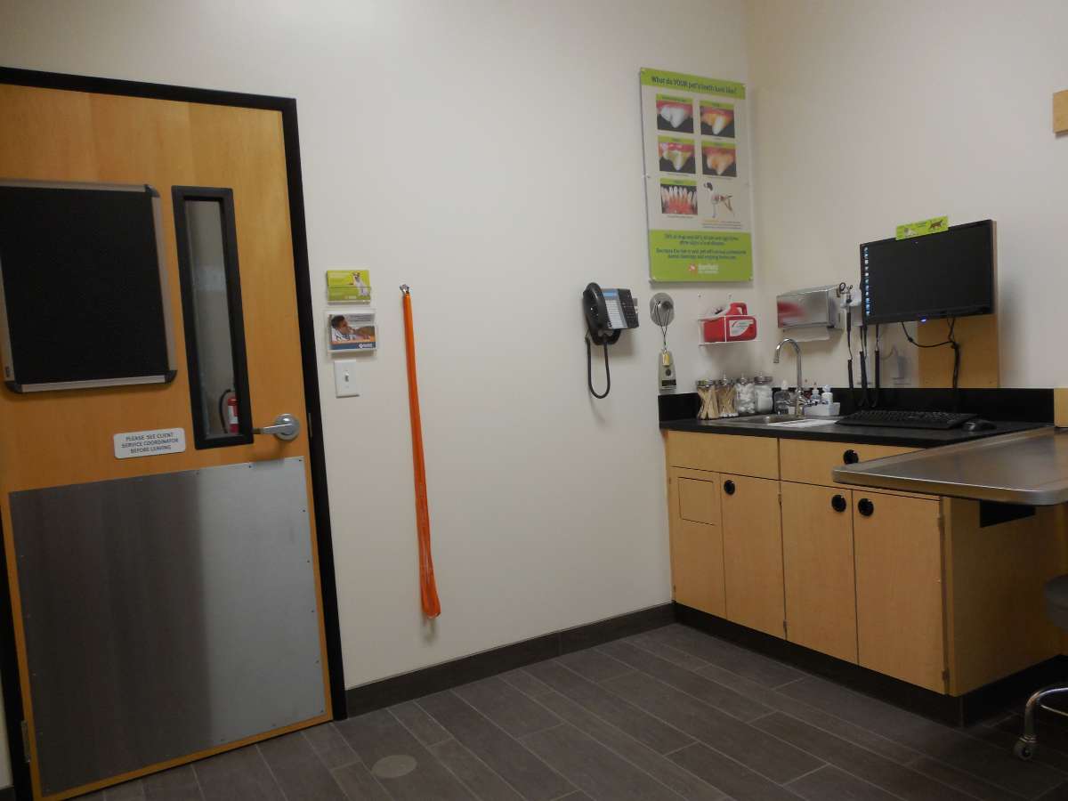 The exam room view of the SouthPark Banfield office