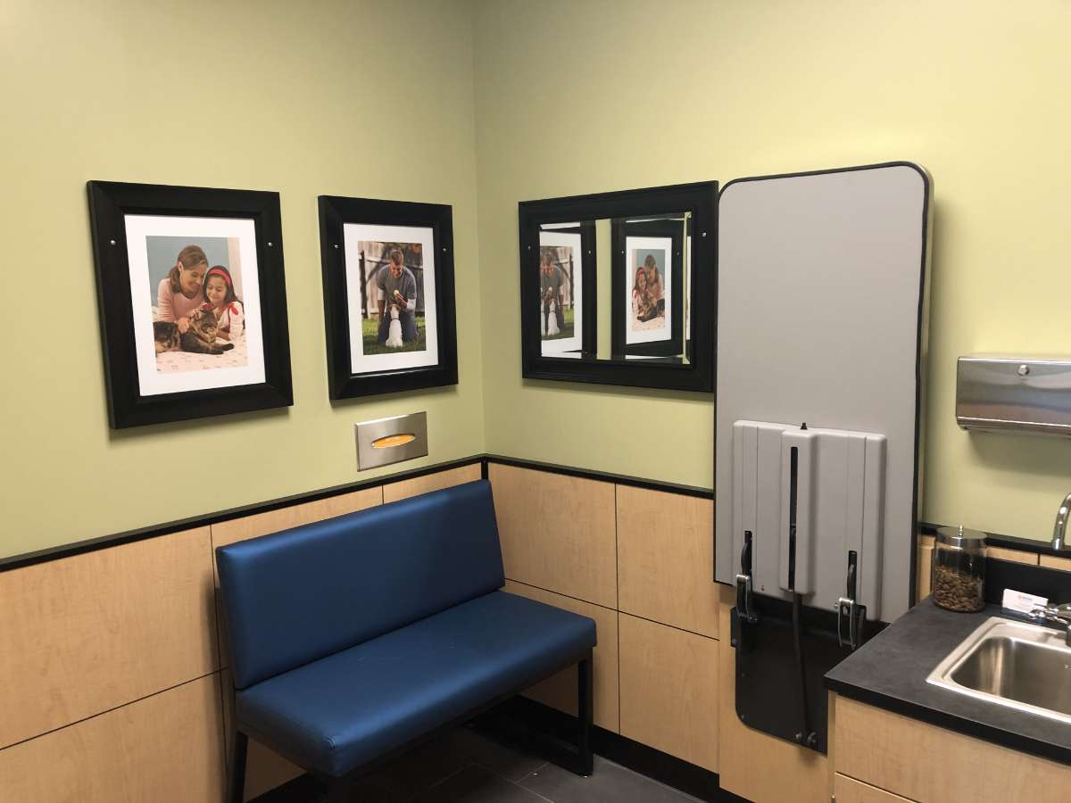 The Charlotte Rea Farms Banfield hospital exam room alternate view