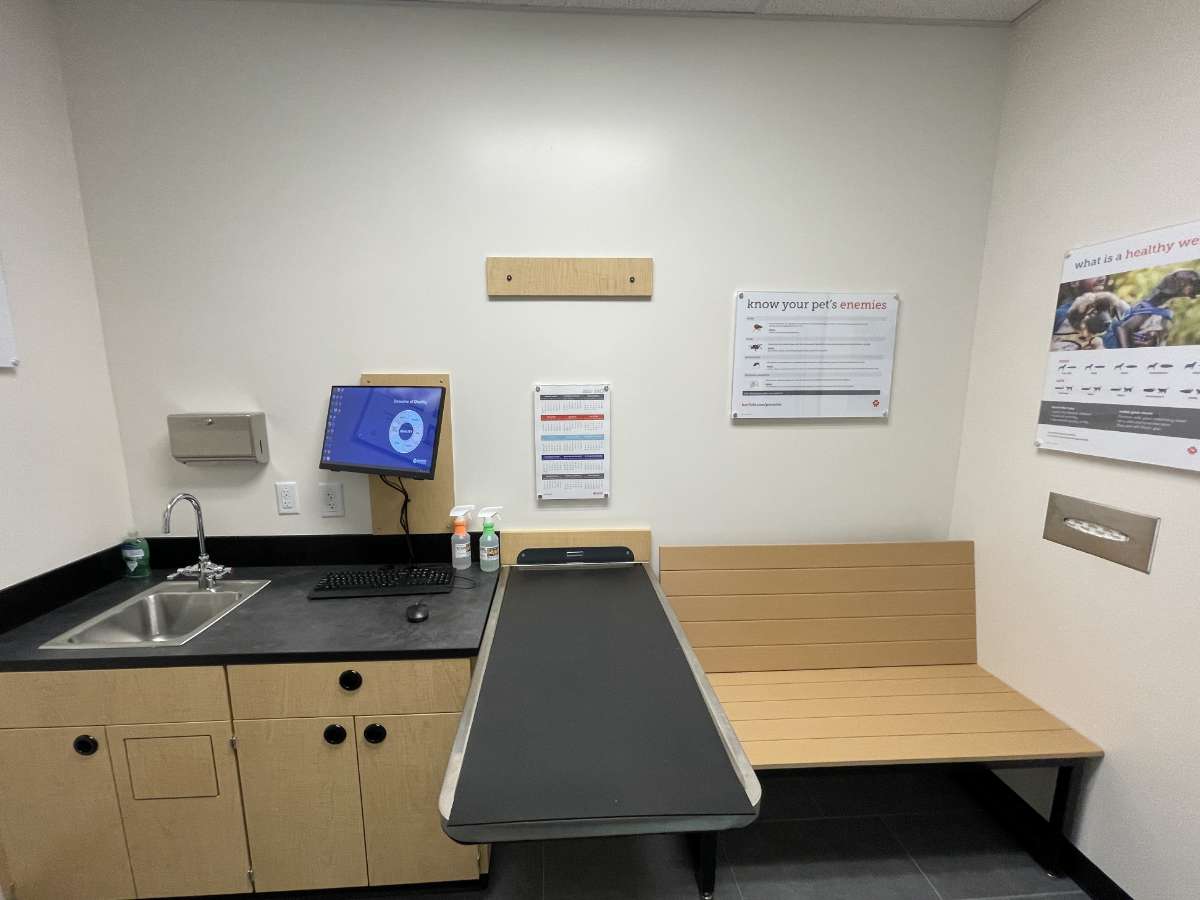 An alternate view of the Charlotte University Banfield exam room