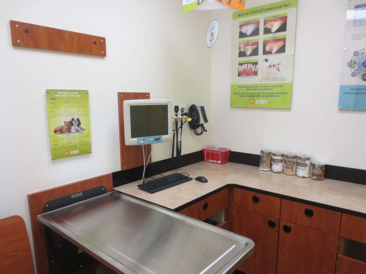 The Norman Banfield hospital exam room