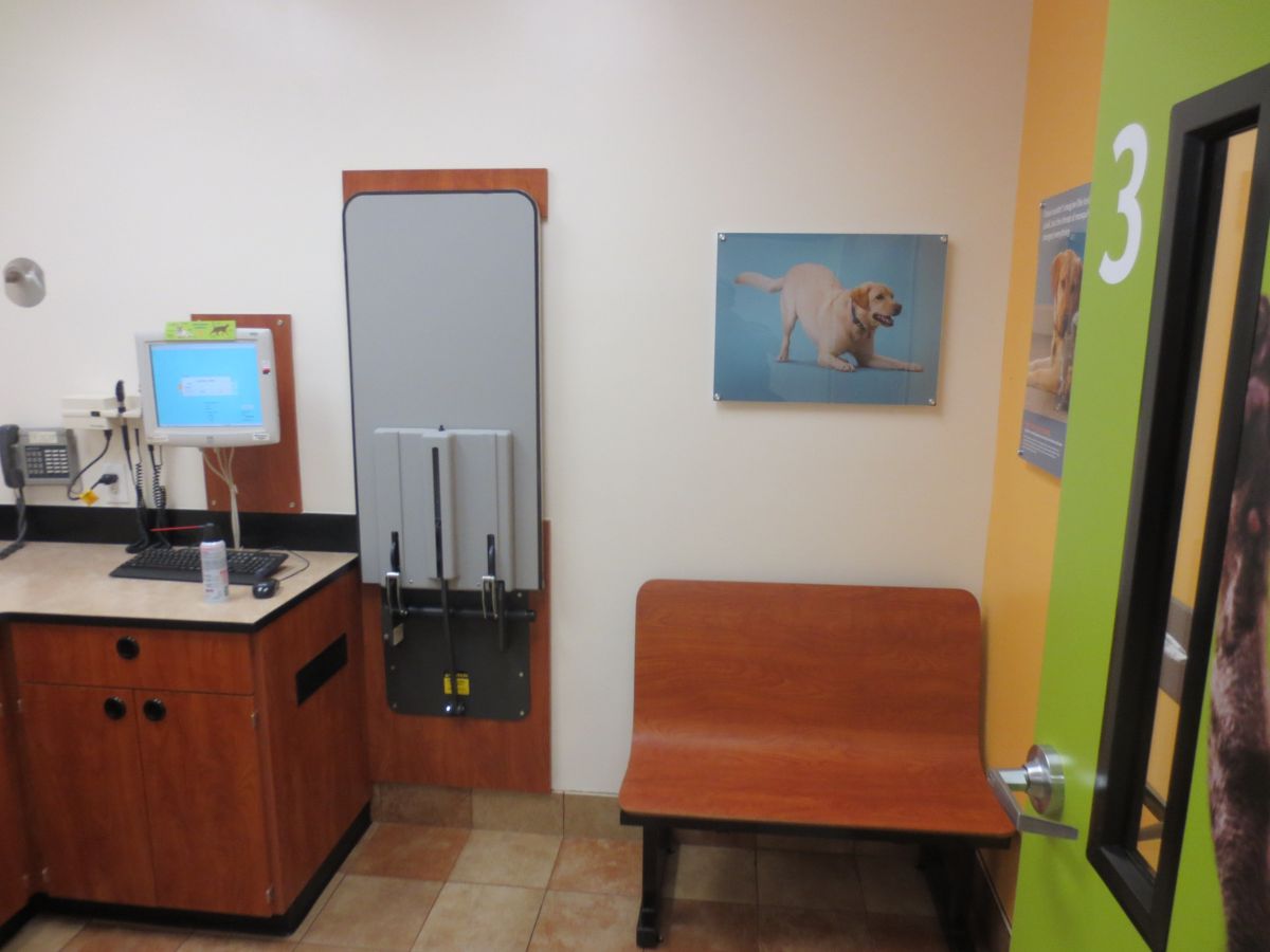 The Knoxville (West Town) Banfield exam room with table