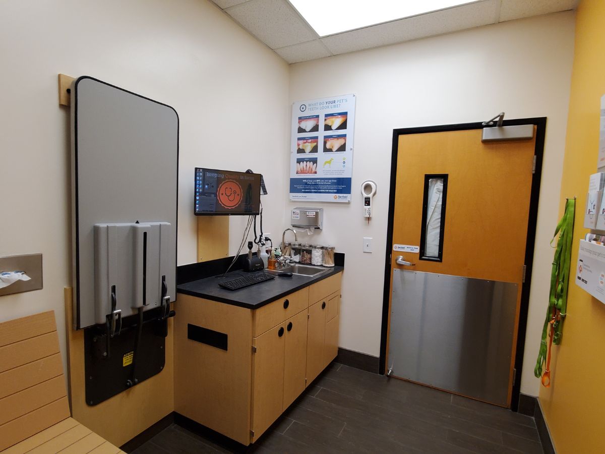 The Banfield Pet Hospital: Brentwood exam room with table