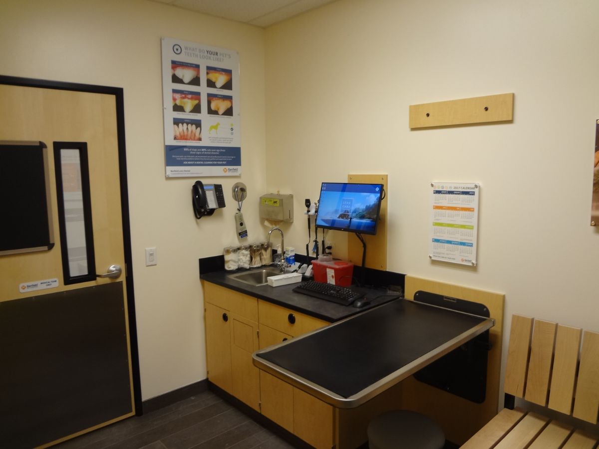 The Banfield Pet Hospital: Franklin exam room with table