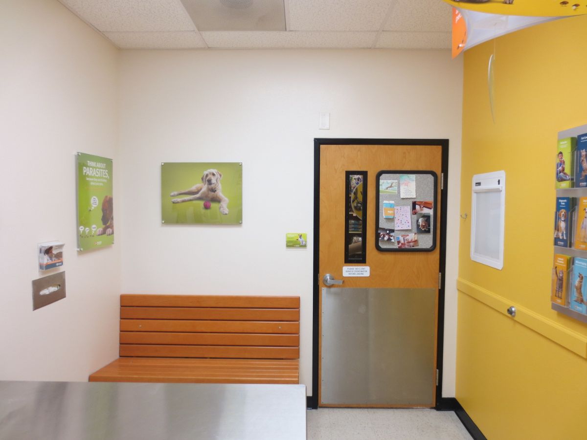 The Banfield Pet Hospital: Chattanooga N exam room with table