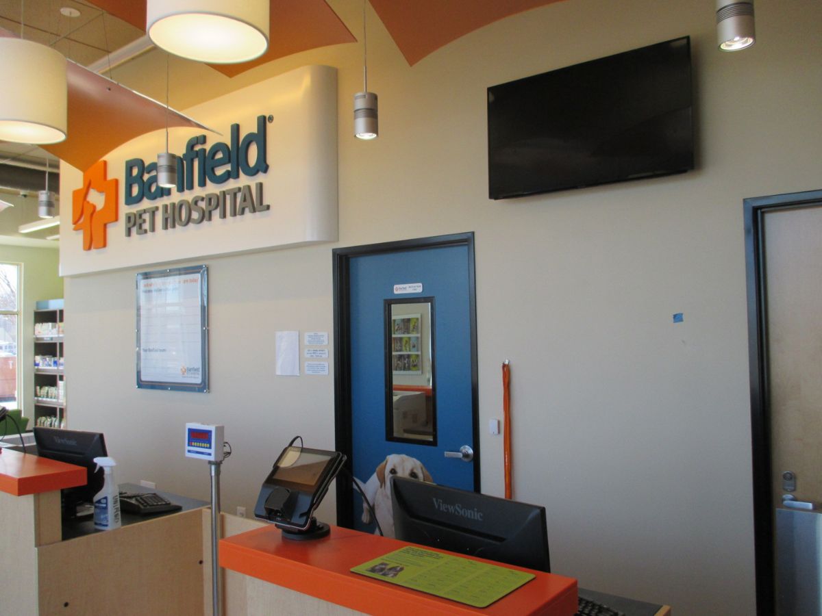 Exam room doors at the South Riding Banfield hospital