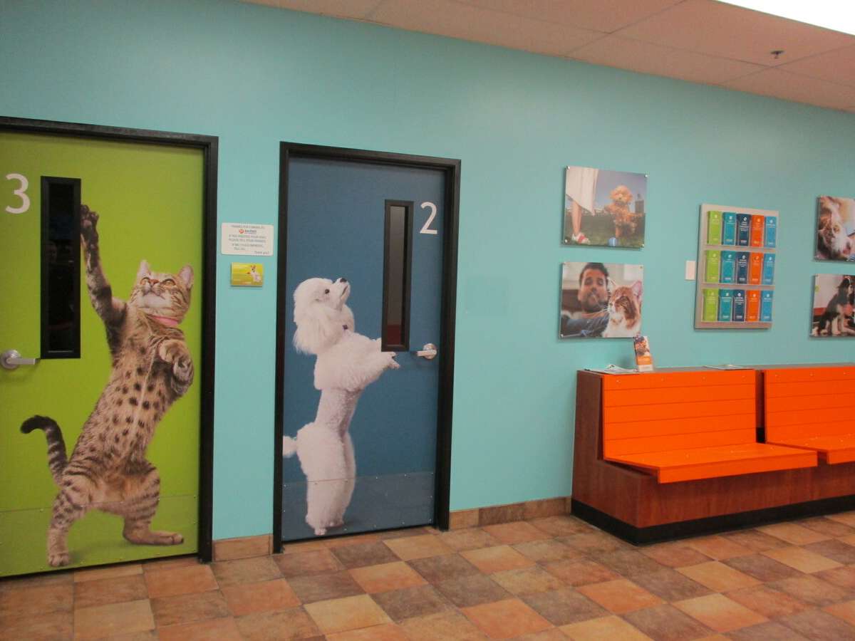 The exam room doors inside the Augusta PetSmart hospital