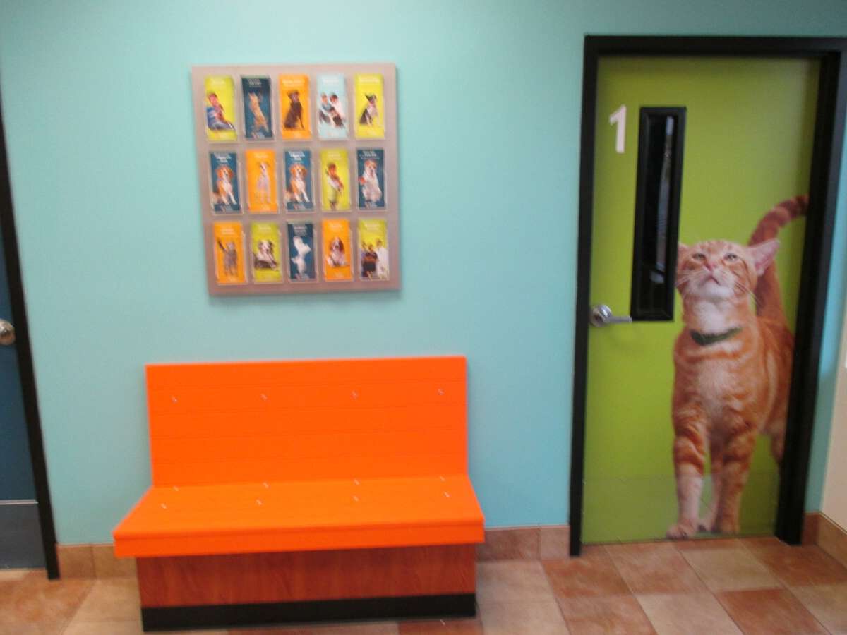 The exam room doors at the Banfield - Little Rock hospital