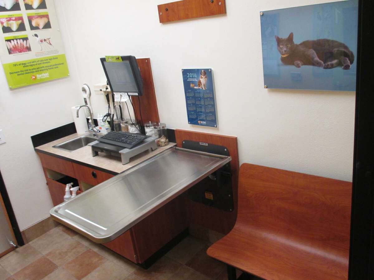 An alternate view of the Banfield Columbia Harbison exam room and table