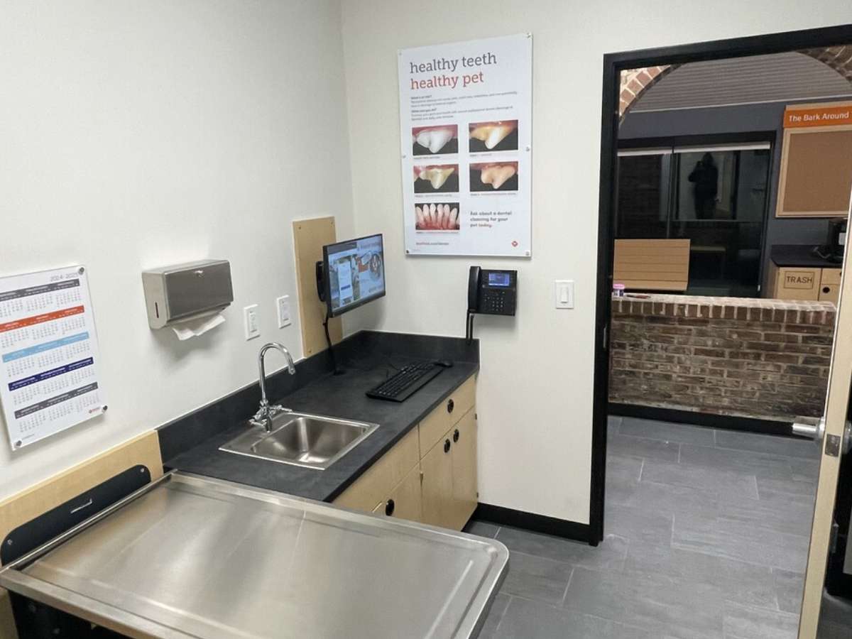 The Anderson Northlake Banfield exam room