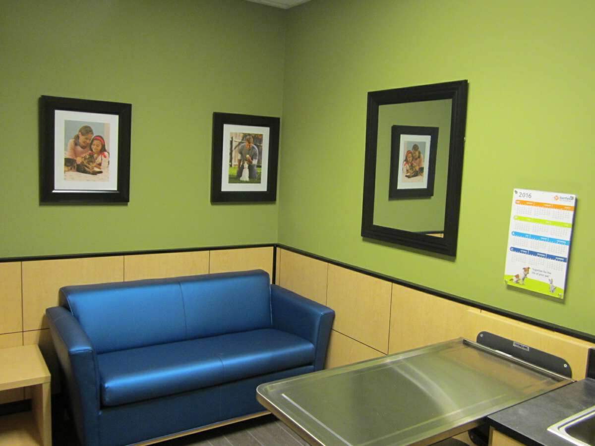 An alternate view of the Mt. Pleasant W Banfield exam room