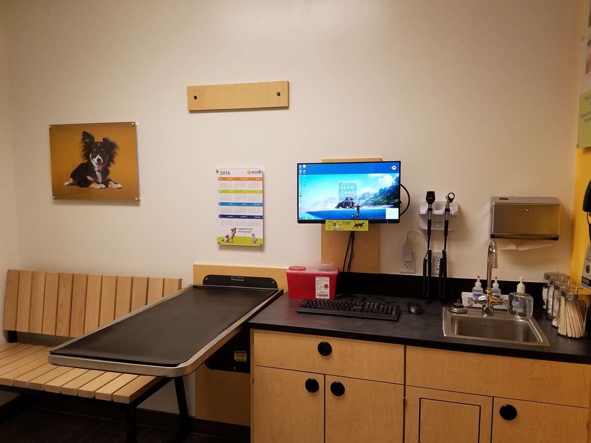 An alternate view of the James Island Banfield hospital exam room
