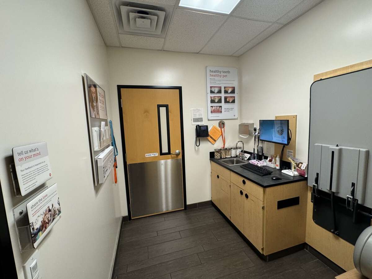 A view of the Summerville S Banfield hospital exam room