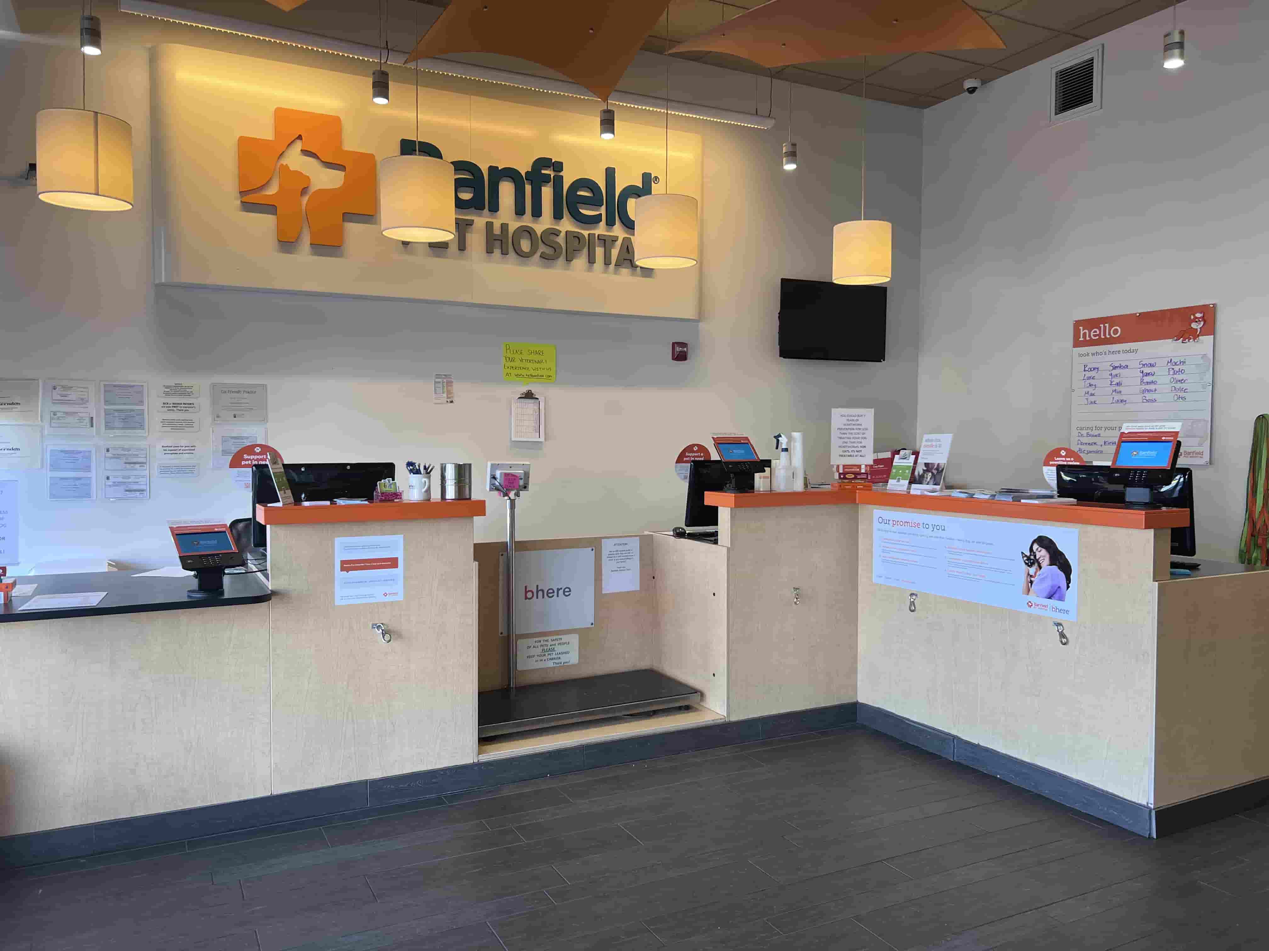 The Banfield Pet Hospital: Herndon front desk