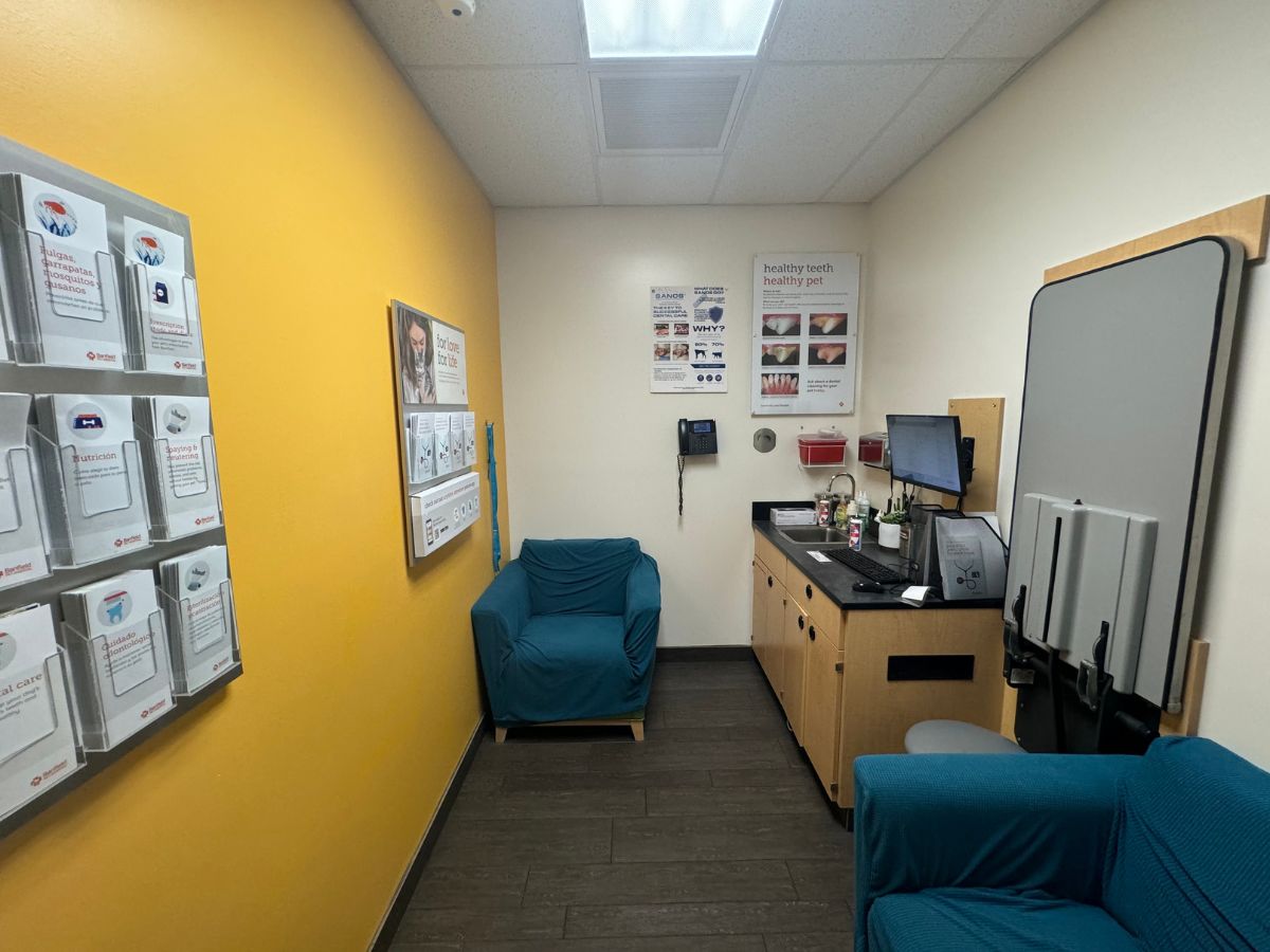 The Banfield Pet Hospital: Herndon exam room with table